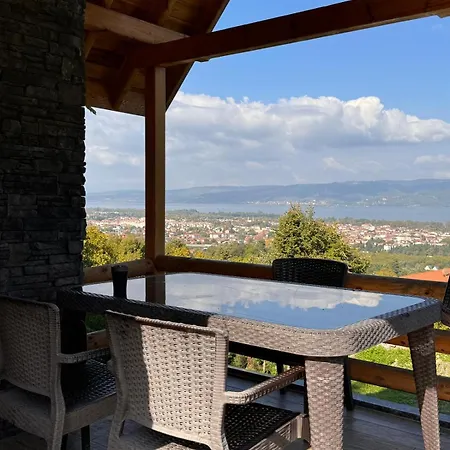 Papatya